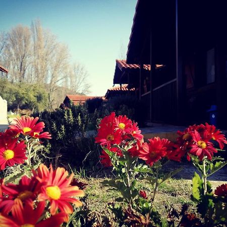 El Venero De Mostoles Constantina Bagian luar foto
